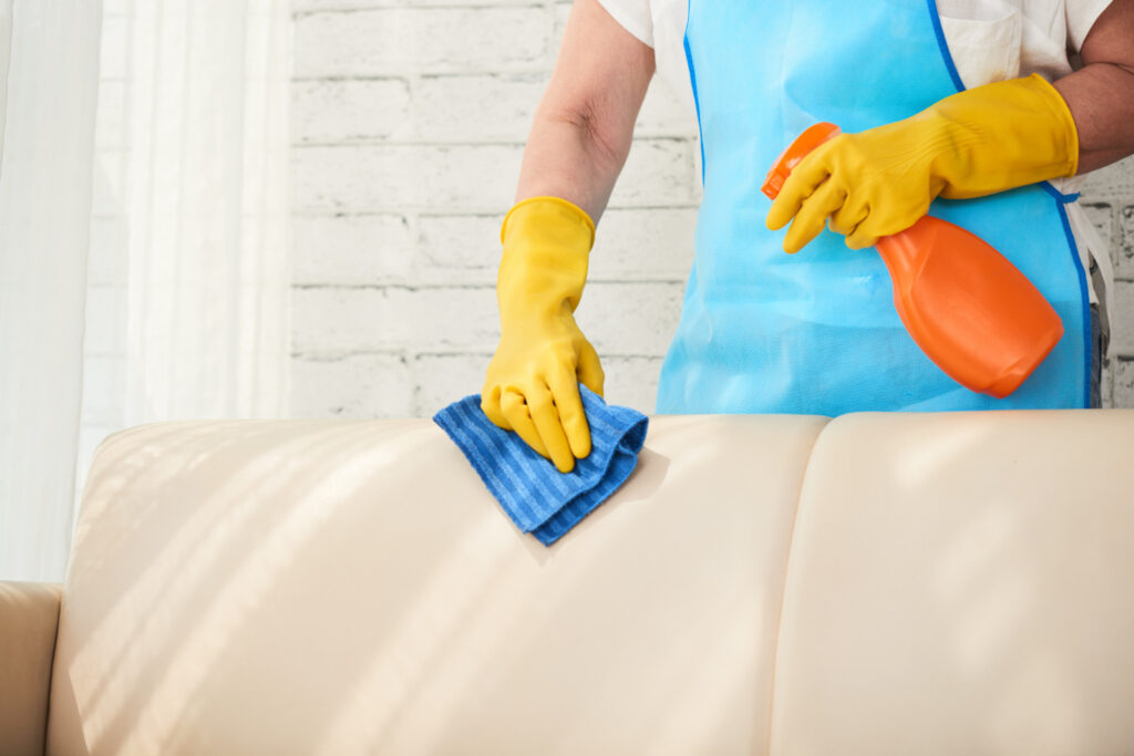 Deep Clean a Fabric Sofa