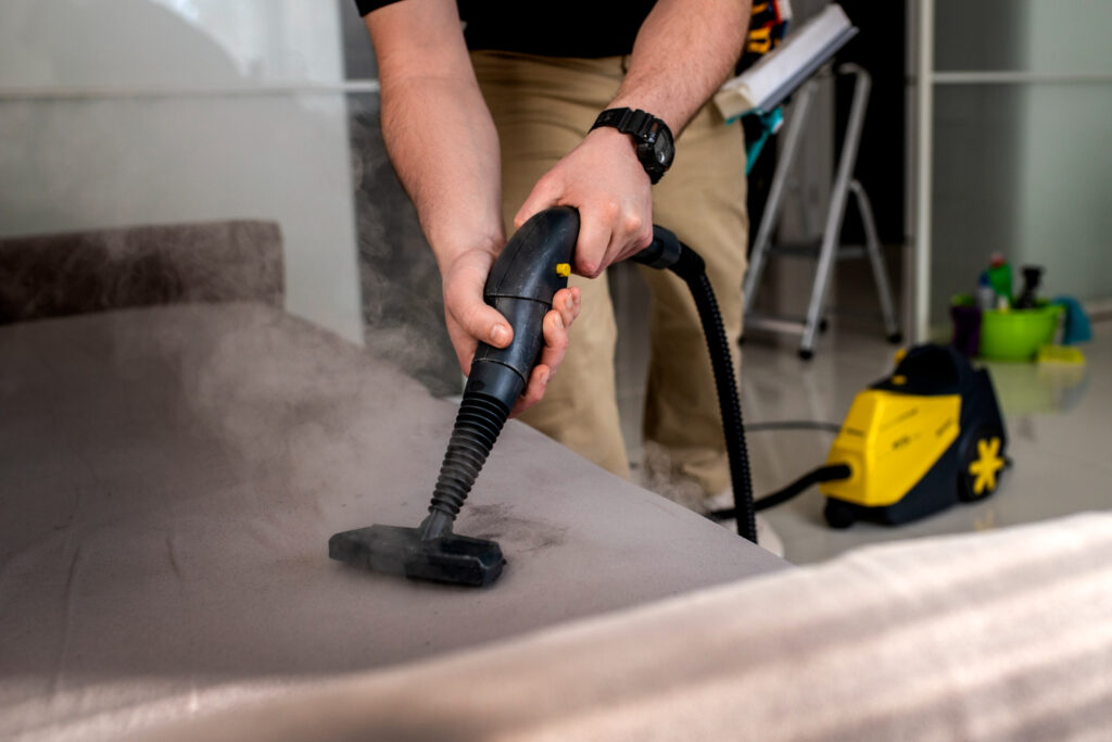Professional Upholstery Cleaning Worth It
